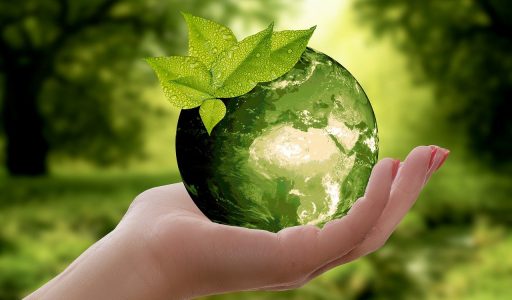 nature, earth, sustainability-3289812.jpg